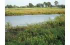 Property photo 9 - 114+/- Acres Offered in 4 Tracts